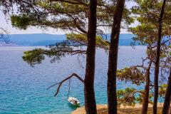 апартаменты Višnja Апартамент 2 – A3 фото 2