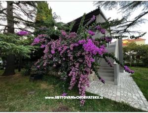 Flowers апартамент Medulin, Fucane 2