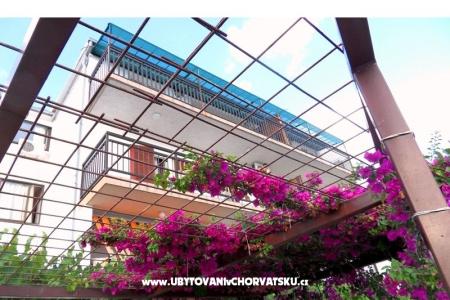 Villa Borovina фото 4