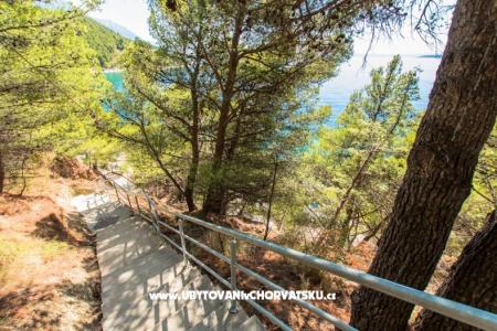 апартаменты near the beach фото 3