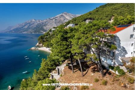 Pine Canopy Studios и апартаменты фото 2