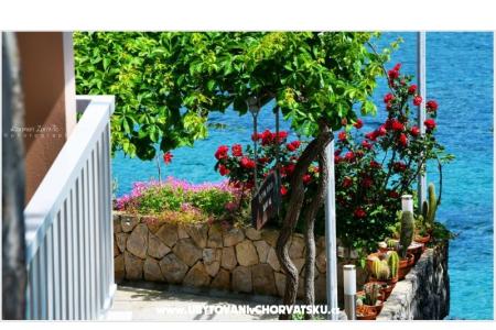 Villa Ana апартаменты фото 3