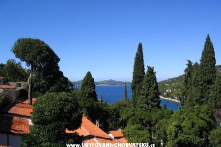 Villa Rašica d.o.o. фото 4