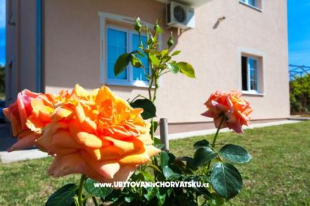 апартаменты Sea view фото 2