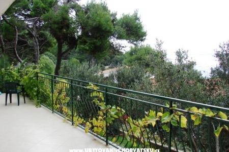 Villa Magnolia фото 3