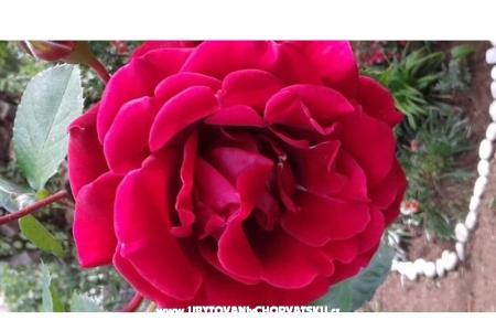 дом Gardenia фото 2