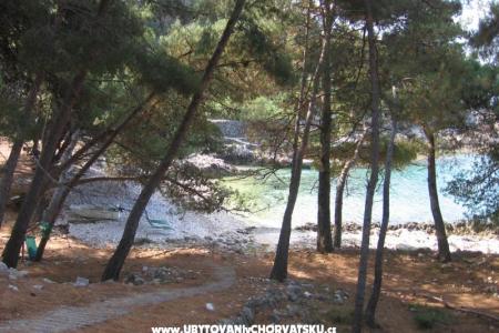 апартамент Porta Šešula фото 2