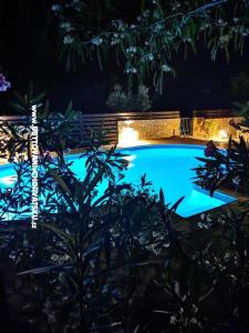 Sunny pool апартаменты фото 4