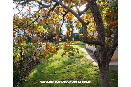 Flowers апартамент Medulin, Fucane 2 фото 4