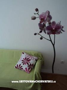 Vila Danica фото 2