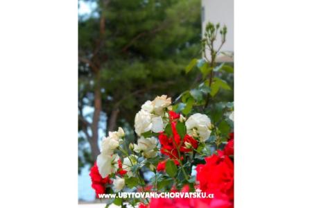 Villa Golubinka фото 5