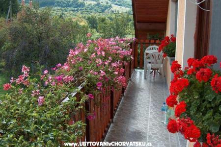 Apartma Hodak фото 2