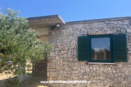 Olive grove фото 2