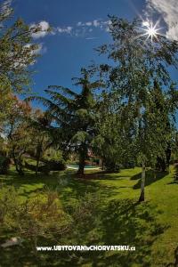Villa Smrikve  фото 2