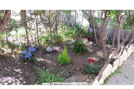 Arba фото 5