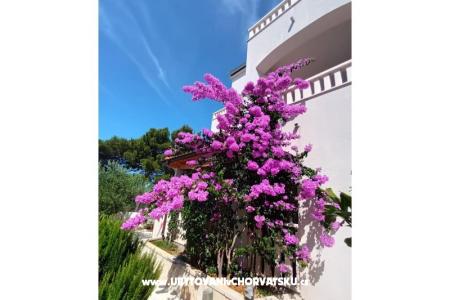 апартаменты Pinea Sol фото 3