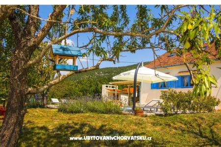 Villa Romansa- 22 km from Split фото 4
