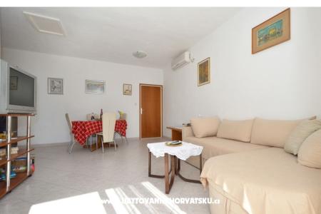 Solea фото 4