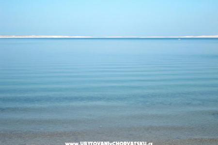 апартаменты Sea фото 5