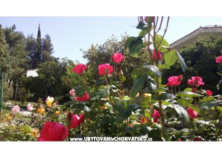 Love Zaostrog фото 3