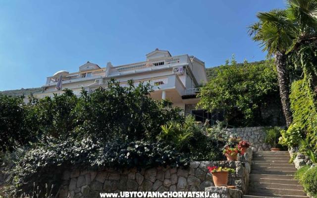 Vila Nautilus luxury апартаменты – Проживание Трпань, Хорватия
