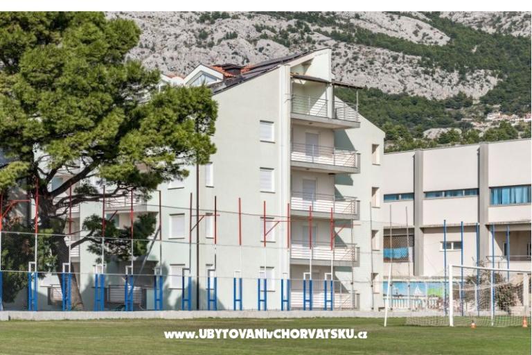 Ruža – фото 3