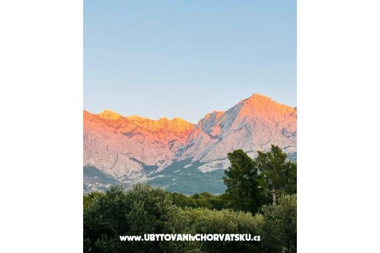 APARTMANI Saric K – фото 23