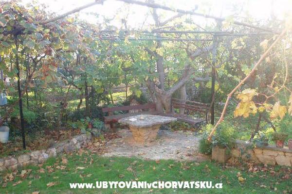 апартаменты и дом Spika – фото 6