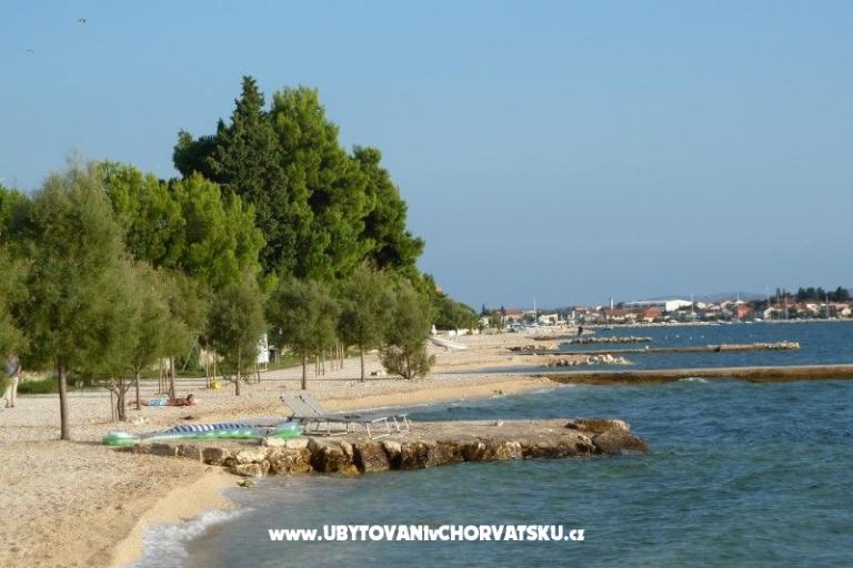 Bibinje апартаменты – фото 4