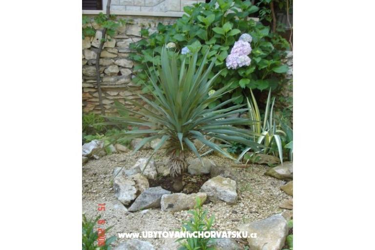 Vila Blanka Sutivan – фото 5