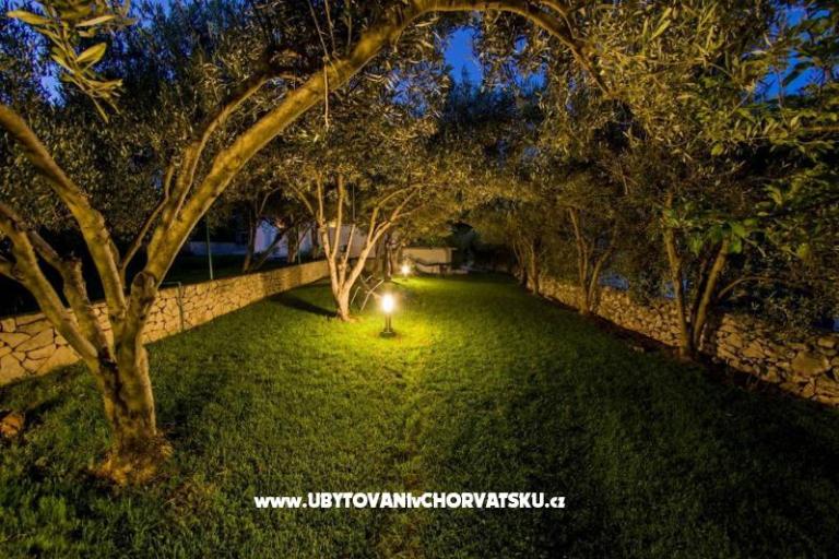 Villa Nikola – фото 3
