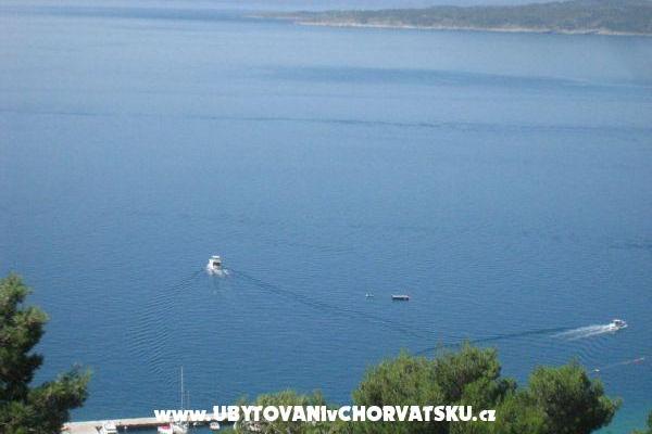 Luxury Villa-swimingpool,sauna,jacu – фото 4