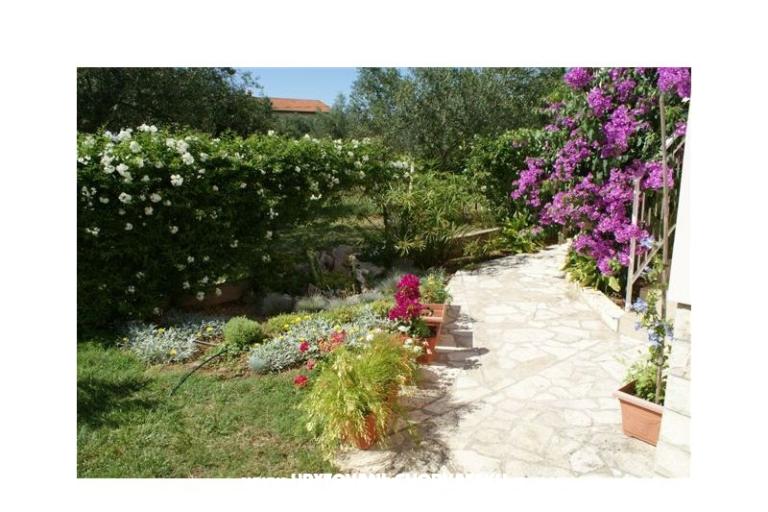 апартаменты Vodopija 50eur/2 os – фото 6