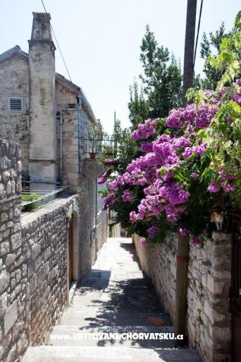 apartman Marina Hvar – фото 7