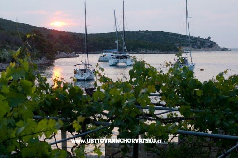 Villa Huerte Hvar – фото 7