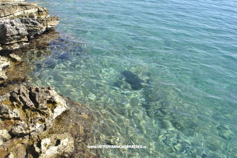 Villa Hvar Melody – фото 4