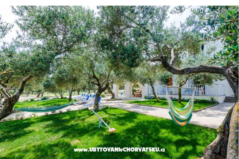 APARTMENTS GLAVOR DRAČE – фото 5