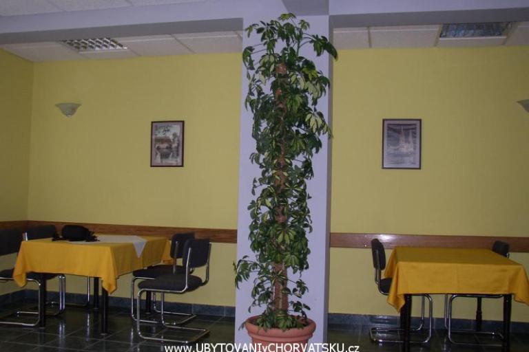 Villa Filipovic – фото 6