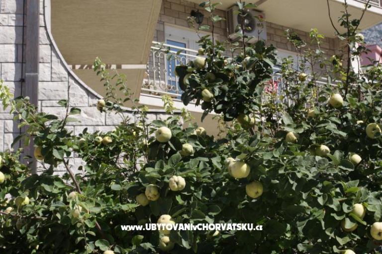 Hotel Makarska – фото 16