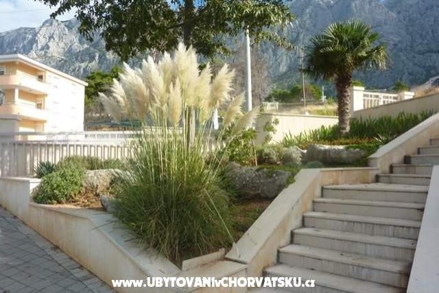 Villa Iva – фото 14