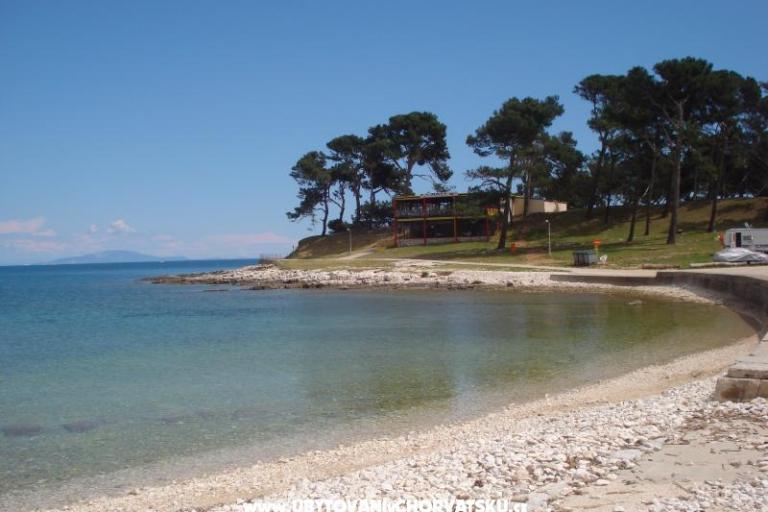Villa Orange – фото 12