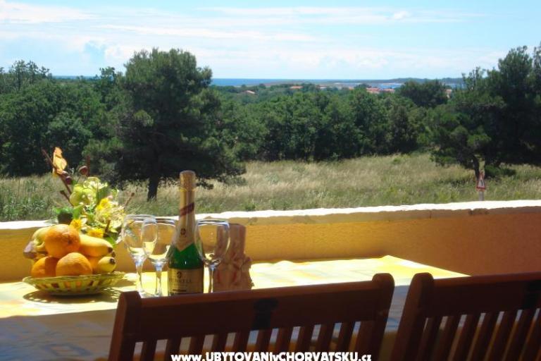 Villa Orange – фото 13