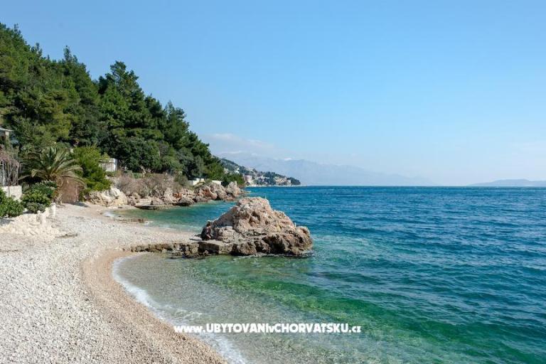 APARTMANI JELENA – фото 3