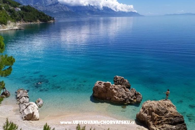 апартаменты Visnjica – фото 5