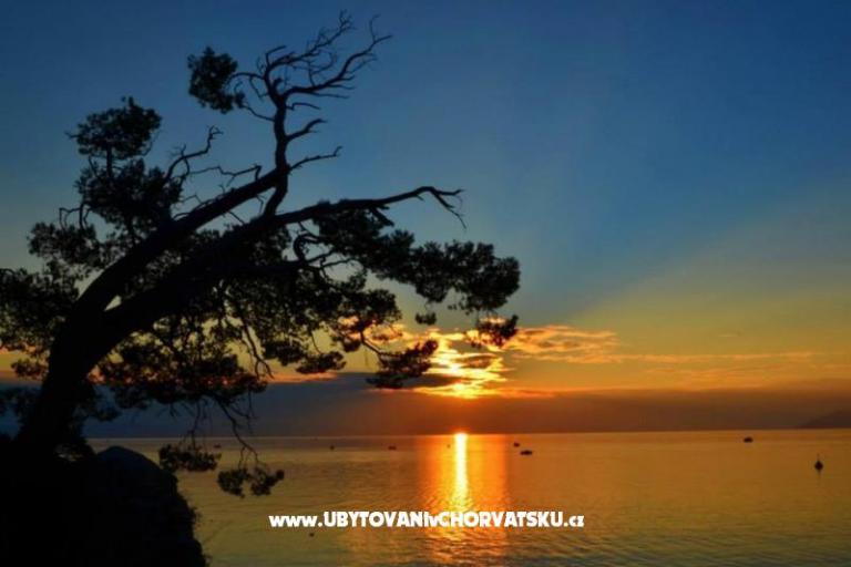 апартаментmate omiš – фото 17