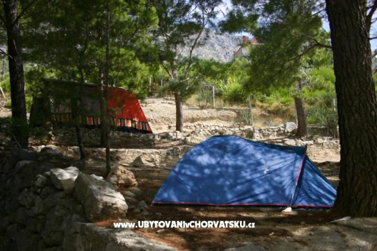 Камп Artina – фото 2