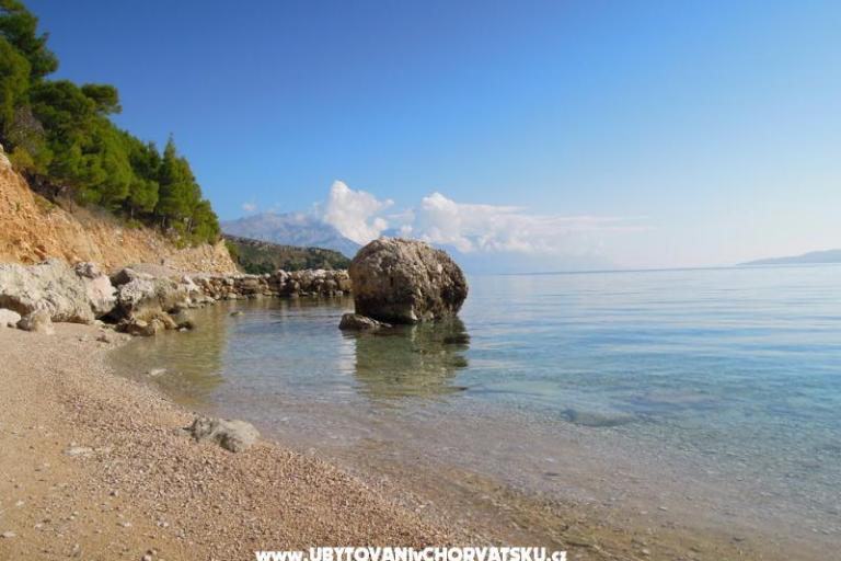 Камп Artina – фото 7