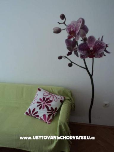 Vila Danica – фото 2