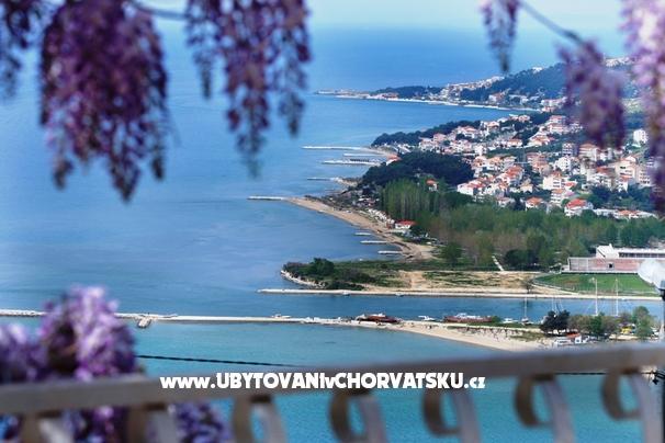 Villa Fig – фото 2