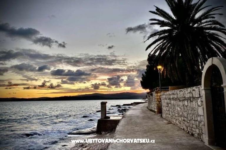 Vila Vida Orebić – фото 5